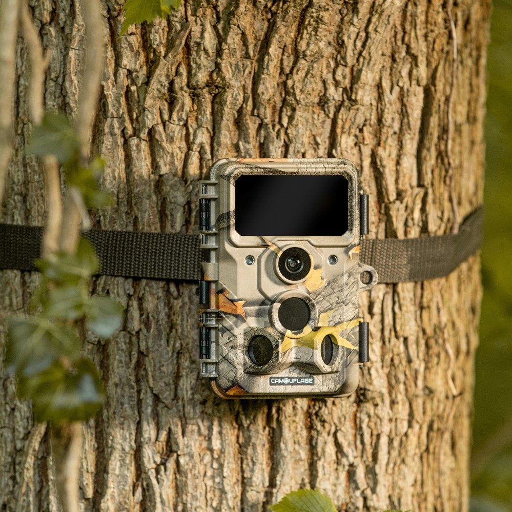Curious About Wildlife Around Your Home? Get a Camouflage Wildlife Camera