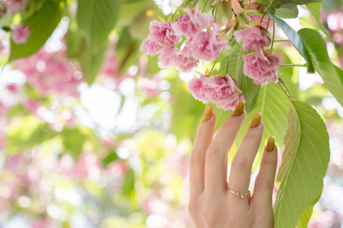 Image quality sample at 40mm F2.8